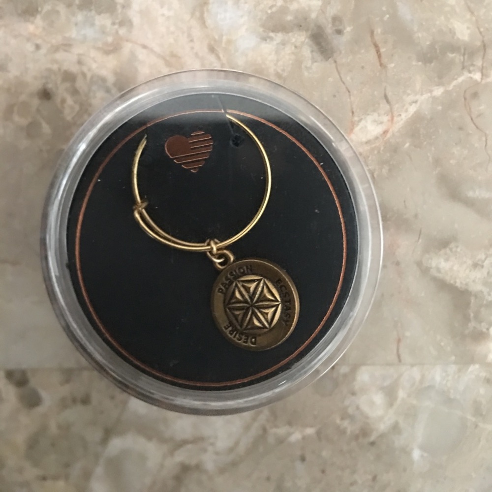 Alex AND Ani ring🛍